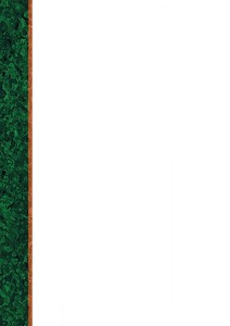 Dyplom - O.Papiernia STANDARD 1 - 110 g/m² - 25 sztuk