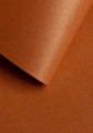 512f425d5e52f96973006781c8171209