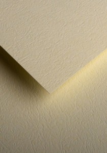Papier ozdobny - O.Papiernia SKÓRA - 230 g/m² - 20 sztuk - kremowy